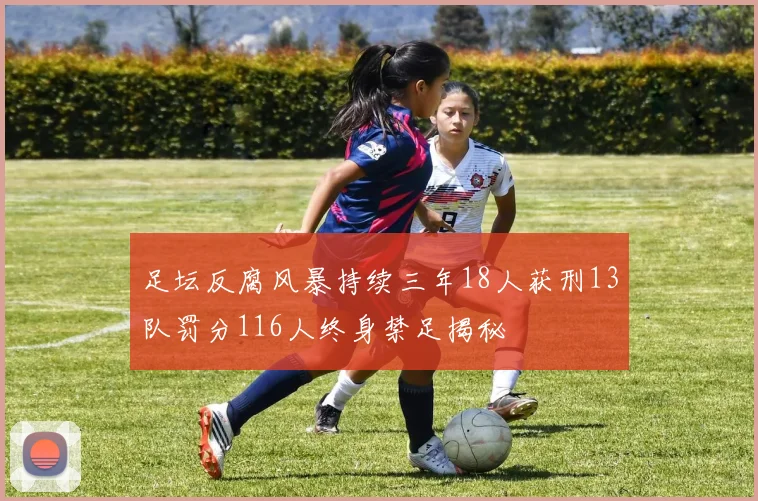 足坛反腐风暴持续三年18人获刑13队罚分116人终身禁足揭秘