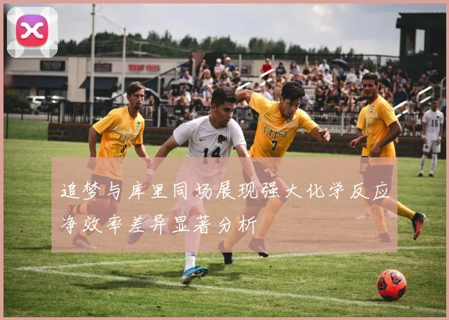 追梦与库里同场展现强大化学反应净效率差异显著分析