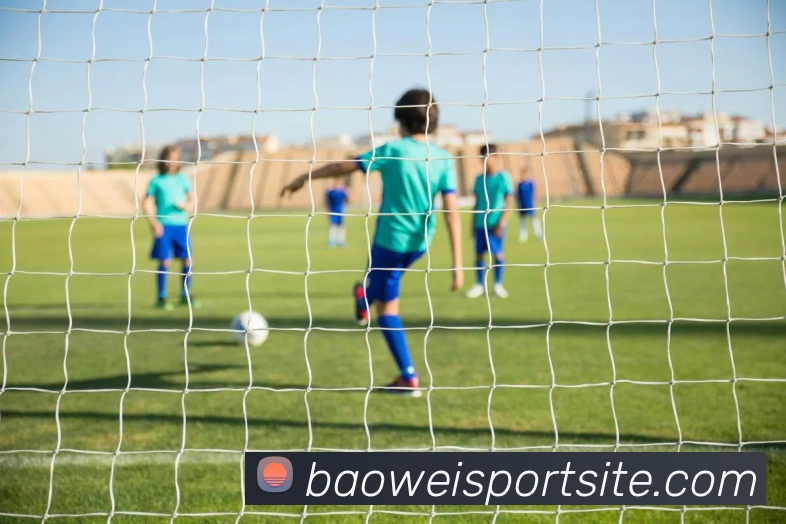 宝威体育APP 封面图